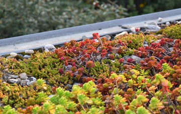 the cost of Wildboarclough green roof installation